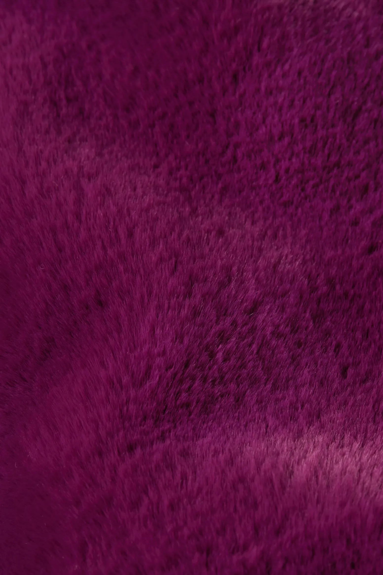 King Louie Jassen & Blazers|Judy Coat Philly Caspia Purple